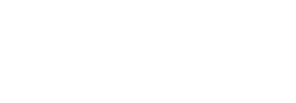 Velocity Leader